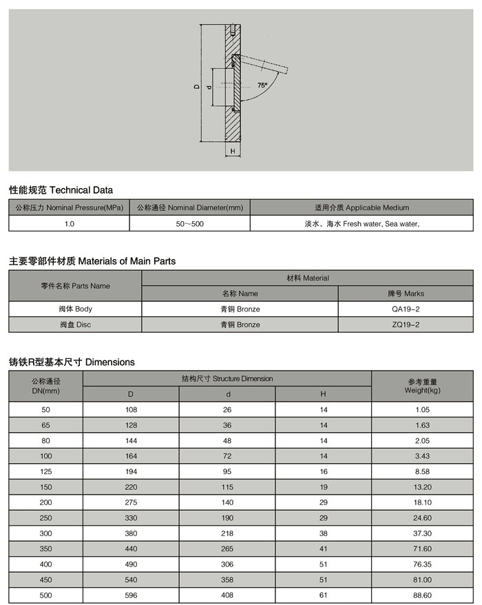 R型板式止回阀.jpg