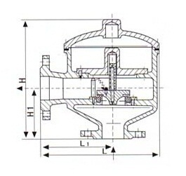 HXF8带吸入接管阻火呼吸阀.jpg