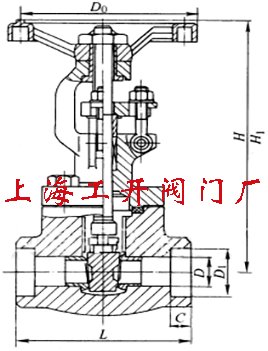 Z61H、Z61Y、Z61W 型 PN100~PN160 承插焊楔式闸阀2.gif