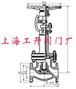 DJ41Y、DJ41W 型 PN16~PN40 低温截止阀2.gif